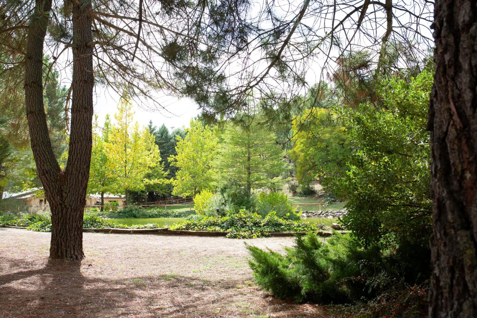 Casa Rural Riopar, Luxury In Nature מראה חיצוני תמונה